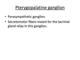 Pterygopalatine ganglion
• Parasympathetic ganglion.
• Secretomotor fibers meant for the lacrimal
gland relay in this ganglion.
 