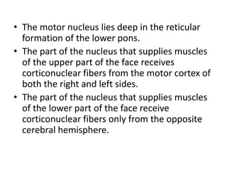 • The motor nucleus lies deep in the reticular
formation of the lower pons.
• The part of the nucleus that supplies muscles
of the upper part of the face receives
corticonuclear fibers from the motor cortex of
both the right and left sides.
• The part of the nucleus that supplies muscles
of the lower part of the face receive
corticonuclear fibers only from the opposite
cerebral hemisphere.
 