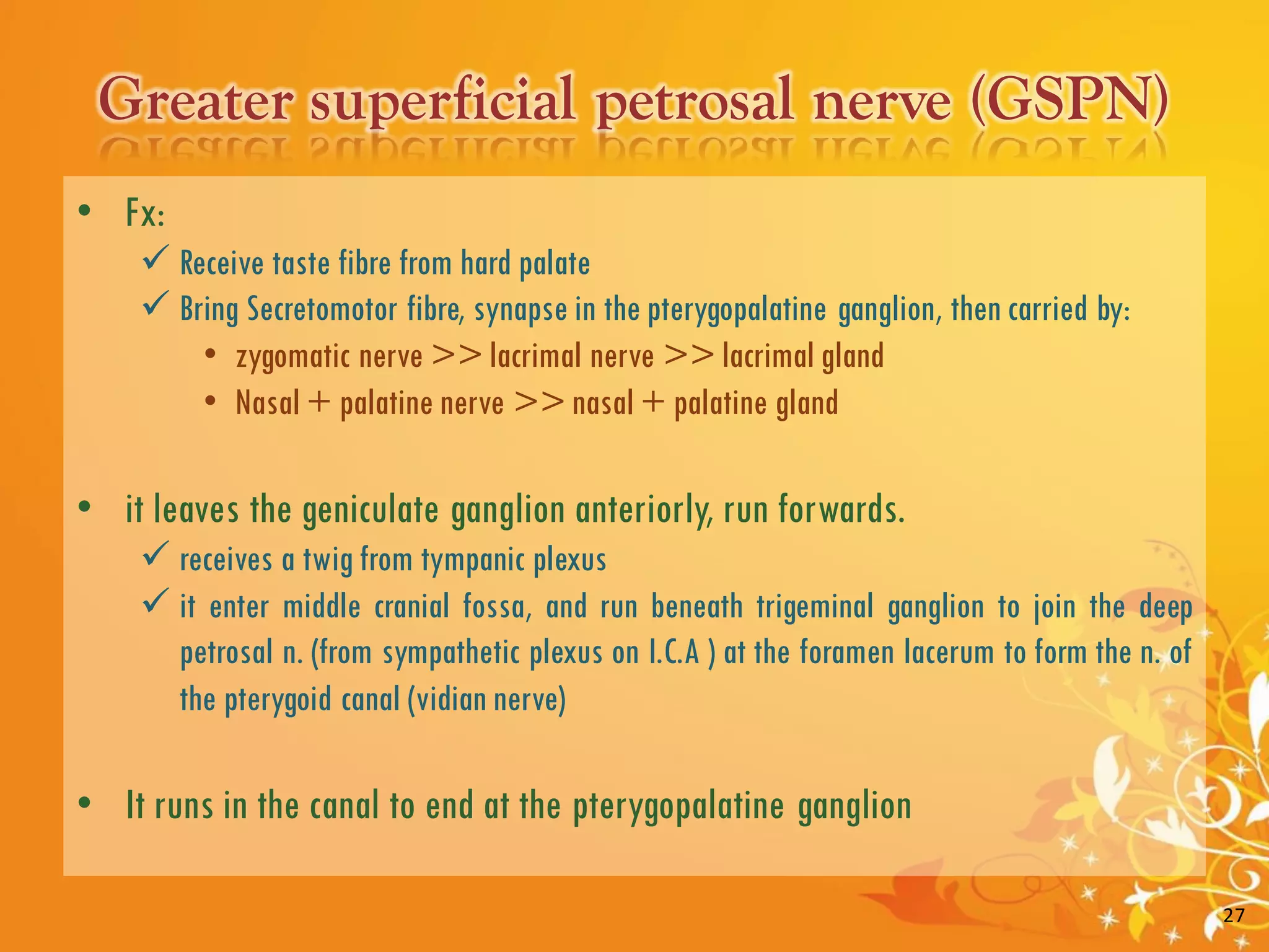 Facial Nerve and Its Clinical Importance | PDF
