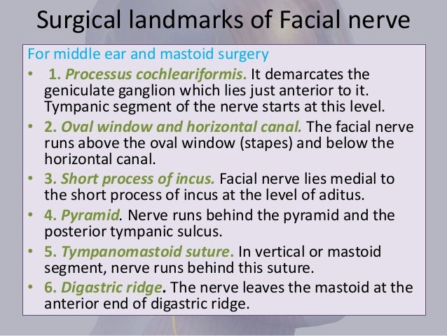 surgical landmarks of facial nerve pdf