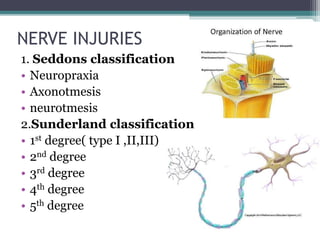 NERVE INJURIES
1. Seddons classification
• Neuropraxia
• Axonotmesis
• neurotmesis
2.Sunderland classification
• 1st degree( type I ,II,III)
• 2nd degree
• 3rd degree
• 4th degree
• 5th degree
 