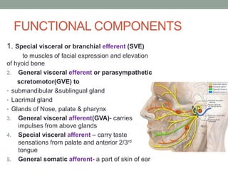 FUNCTIONAL COMPONENTS
1. Special visceral or branchial efferent (SVE)
to muscles of facial expression and elevation
of hyoid bone
2. General visceral efferent or parasympathetic
scretomotor(GVE) to
• submandibular &sublingual gland
• Lacrimal gland
• Glands of Nose, palate & pharynx
3. General visceral afferent(GVA)- carries
impulses from above glands
4. Special visceral afferent – carry taste
sensations from palate and anterior 2/3rd
tongue
5. General somatic afferent- a part of skin of ear
 