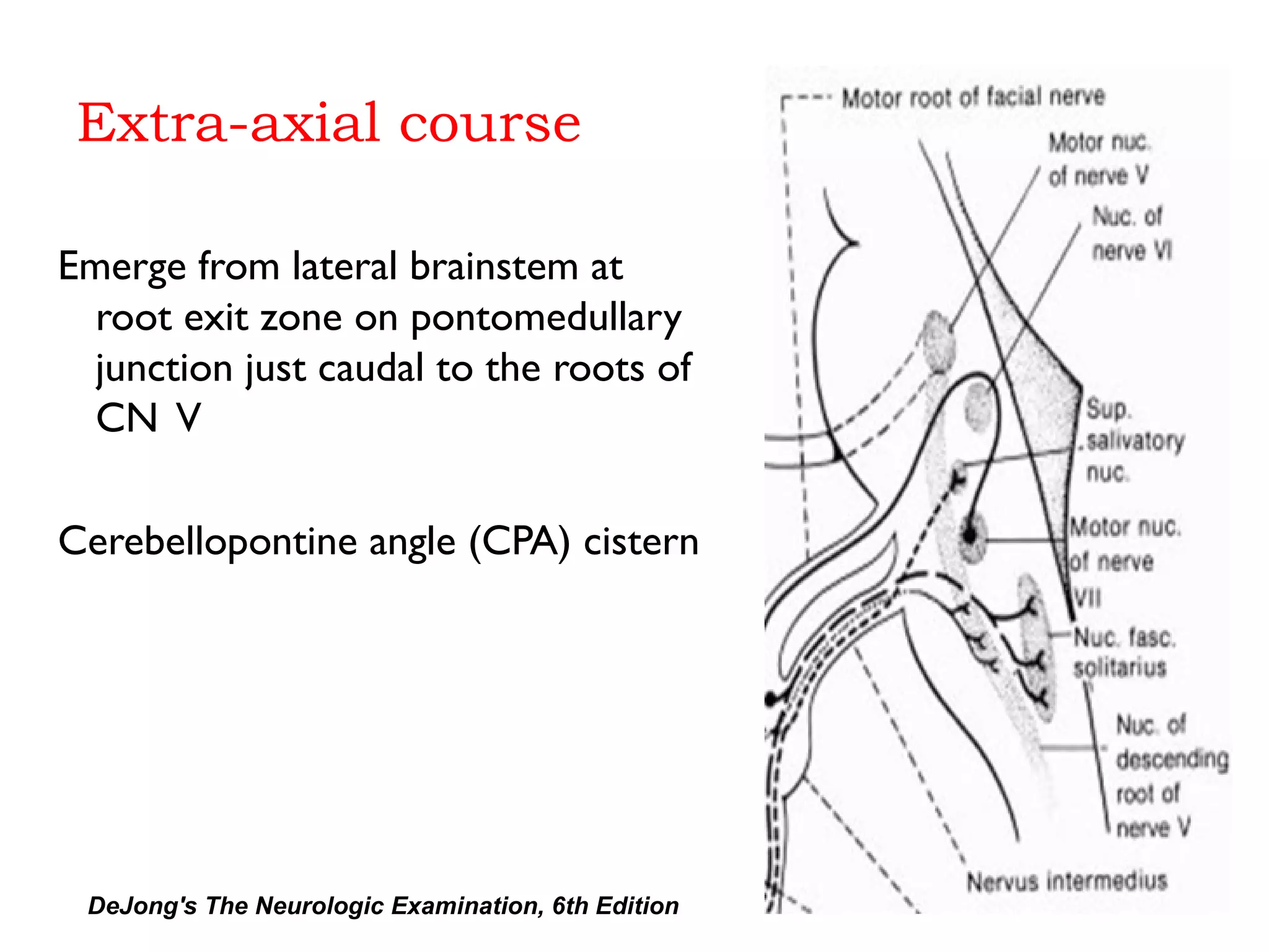 Extra-axial course
Emerge from lateral brainstem at
root exit zone on pontomedullary
junction just caudal to the roots of
CN V
Cerebellopontine angle (CPA) cistern
DeJong's The Neurologic Examination, 6th Edition
 
