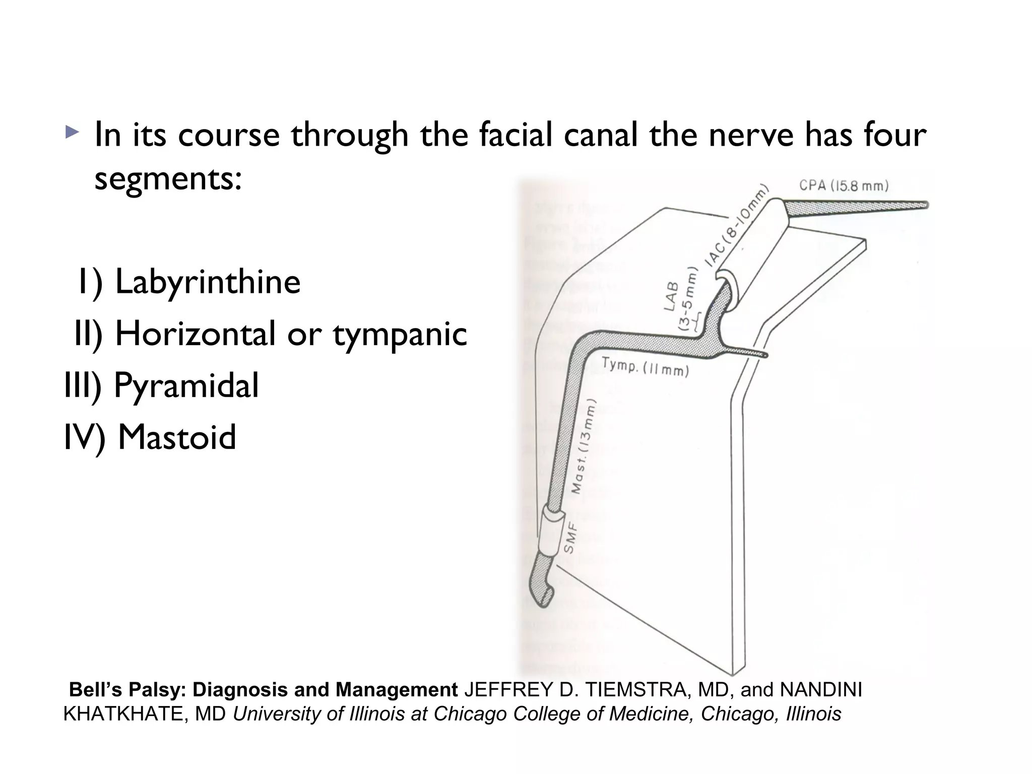  In its course through the facial canal the nerve has four
segments:
1) Labyrinthine
II) Horizontal or tympanic
III) Pyramidal
IV) Mastoid
Bell’s Palsy: Diagnosis and Management JEFFREY D. TIEMSTRA, MD, and NANDINI
KHATKHATE, MD University of Illinois at Chicago College of Medicine, Chicago, Illinois
 