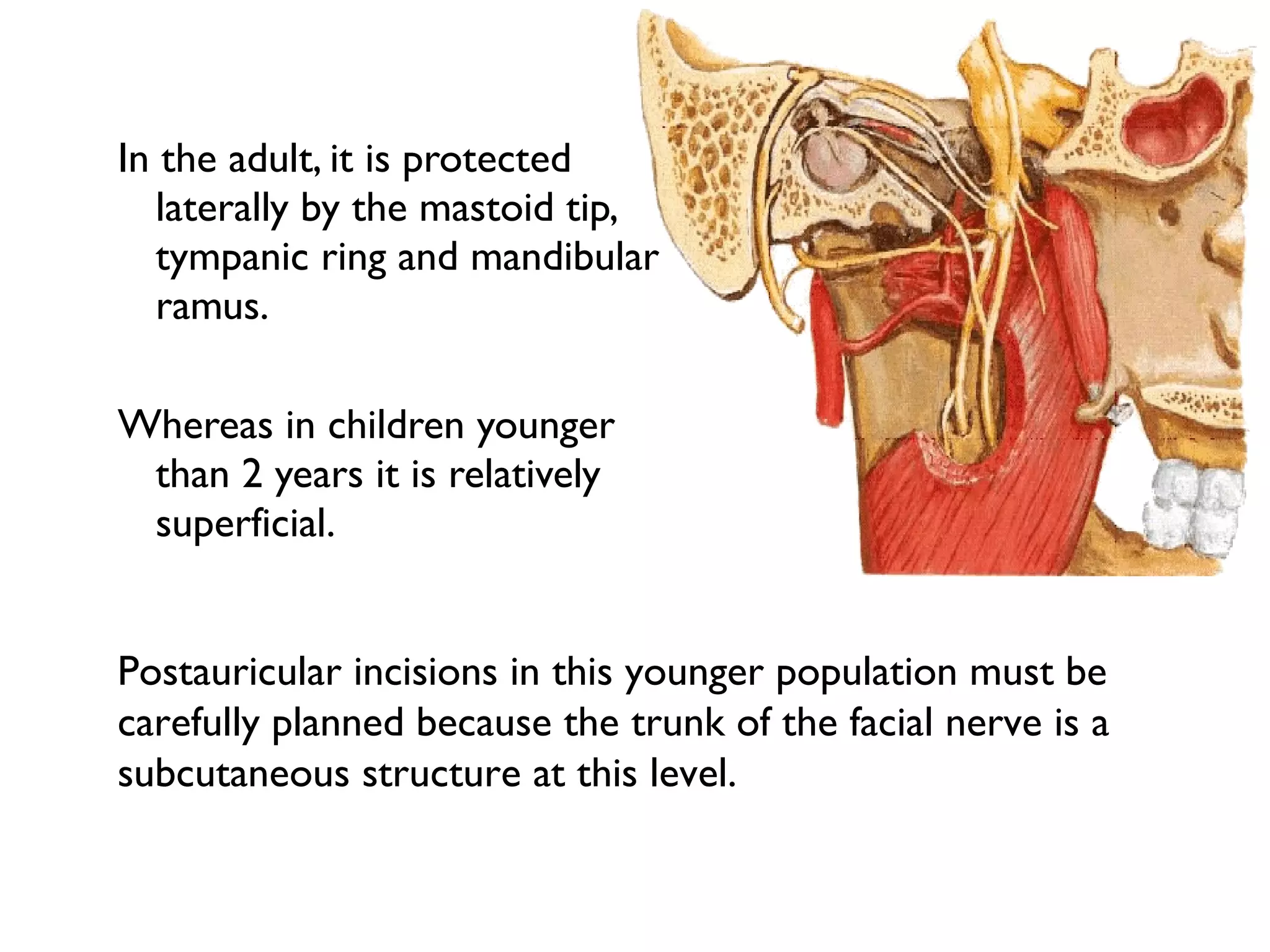 In the adult, it is protected
laterally by the mastoid tip,
tympanic ring and mandibular
ramus.
Whereas in children younger
than 2 years it is relatively
superficial.
Postauricular incisions in this younger population must be
carefully planned because the trunk of the facial nerve is a
subcutaneous structure at this level.
 