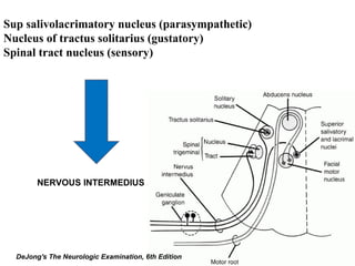 Sup salivolacrimatory nucleus (parasympathetic)
Nucleus of tractus solitarius (gustatory)
Spinal tract nucleus (sensory)
NERVOUS INTERMEDIUS
DeJong's The Neurologic Examination, 6th Edition
 
