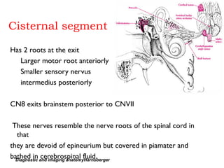 Cisternal segment
Has 2 roots at the exit
Larger motor root anteriorly
Smaller sensory nervus
intermedius posteriorly
CN8 exits brainstem posterior to CNVII
These nerves resemble the nerve roots of the spinal cord in
that
they are devoid of epineurium but covered in piamater and
bathed in cerebrospinal fluid.Diagnostic and imaging anatomyHarnsberger
 