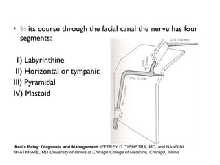  In its course through the facial canal the nerve has four
segments:
1) Labyrinthine
II) Horizontal or tympanic
III) Pyramidal
IV) Mastoid
Bell’s Palsy: Diagnosis and Management JEFFREY D. TIEMSTRA, MD, and NANDINI
KHATKHATE, MD University of Illinois at Chicago College of Medicine, Chicago, Illinois
 