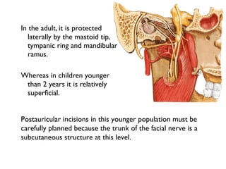 In the adult, it is protected
laterally by the mastoid tip,
tympanic ring and mandibular
ramus.
Whereas in children younger
than 2 years it is relatively
superficial.
Postauricular incisions in this younger population must be
carefully planned because the trunk of the facial nerve is a
subcutaneous structure at this level.
 