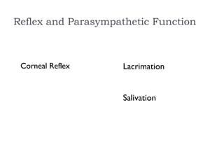 Reflex and Parasympathetic Function
Corneal Reflex Lacrimation
Salivation
 