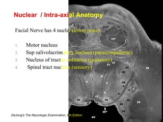 Facial Nerve has 4 nuclei (lower pons)
1. Motor nucleus
2. Sup salivolacrimatory nucleus (parasympathetic)
3. Nucleus of tractus solitarius (gustatory)
4. Spinal tract nucleus (sensory)
Nuclear / Intra-axial Anatomy
DeJong's The Neurologic Examination, 6th Edition
 