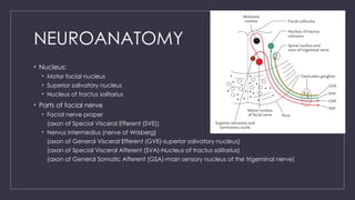 FACIAL NERVE (CN VII) anatomy and details | PPTX