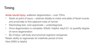 Timing
Acute neural injury- wallerian degeneration – over 72hrs
• Starts at point of injury – extends distally to motor end plate of facial muscle
and proximally to first adjacent node of ranvier
• Electrodiag test- cant appreciate – underdiagnosis
• Once degeneration is complete- ENoG- helpful- day3-21- to quantify degree
of nerve degeneration
• By 21days- cell body and proximal segment reorganize
Retain ability to regenerate for indefinite period of time
Here EMG is helpful
 