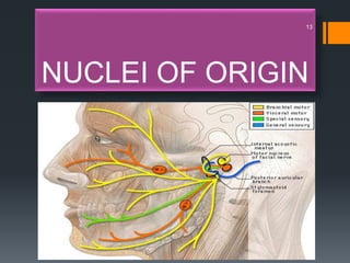 NUCLEI OF ORIGIN
13
 