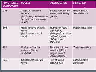 FUNCTIONAL
COMPONENT
NUCLEI DISTRIBUTION FUNCTION
GVE Superior salivatory
nucleus
(lies in the pons lateral to
the main motor nucleus
of VII )
Submandibular and
sublingual salivary
glands.
Preganglionic
Secretomotor
SVE Motor nucleus of facial
nerve
(lies in lower part of
pons)
Muscles of facial
expression,
stylohyoid, posterior
belly of digastric,
platysma and
stapedius.
Facial expression
SVA Nucleus of tractus
solitarius (lies in
medullla)
Taste buds in the
anterior 2/3rd of
tongue except
vallate papillae.
Taste sensations
GSA Spinal nucleus of Vth
nerve
Part of skin of
external ear.
Exteroceptive
sensation
14
 