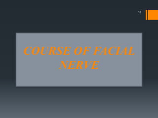 COURSE OF FACIAL
NERVE
15
 