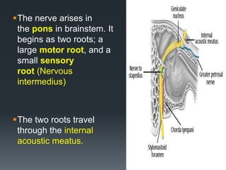 The nerve arises in
the pons in brainstem. It
begins as two roots; a
large motor root, and a
small sensory
root (Nervous
intermedius)
The two roots travel
through the internal
acoustic meatus.
17
 