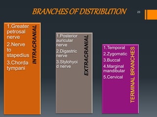 TERMINALBRANCHES
EXTRACRANIAL
INTRACRANIAL
1.Greater
petrosal
nerve
2.Nerve
to
stapedius
3.Chorda
tympani
1.Posterior
auricular
nerve
2.Digastric
nerve
3.Stylohyoi
d nerve
1.Temporal
2.Zygomatic
3.Buccal
4.Marginal
mandibular
5.Cervical
BRANCHESOFDISTRIBUTION 23
 