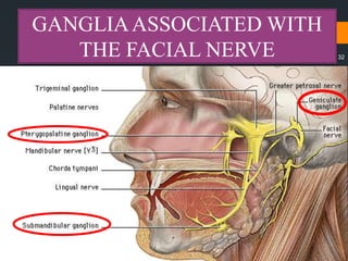 GANGLIAASSOCIATED WITH
THE FACIAL NERVE 32
 