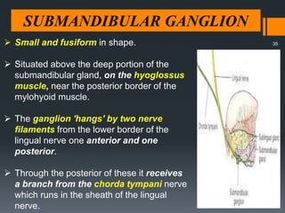 SUBMANDIBULAR GANGLION
 Small and fusiform in shape.
 Situated above the deep portion of the
submandibular gland, on the hyoglossus
muscle, near the posterior border of the
mylohyoid muscle.
 The ganglion 'hangs' by two nerve
filaments from the lower border of the
lingual nerve one anterior and one
posterior.
 Through the posterior of these it receives
a branch from the chorda tympani nerve
which runs in the sheath of the lingual
nerve.
35
 