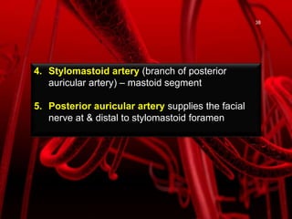 4. Stylomastoid artery (branch of posterior
auricular artery) – mastoid segment
5. Posterior auricular artery supplies the facial
nerve at & distal to stylomastoid foramen
38
 