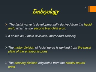 Embryology
 The facial nerve is developmentally derived from the hyoid
arch, which is the second branchial arch.
It arises as 2 main divisions- motor and sensory
The motor division of facial nerve is derived from the basal
plate of the embryonic pons
The sensory division originates from the cranial neural
crest
6
 