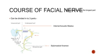  Can be divided in to 3 parts:-
Stylomastoid foramen
Internal Acoustic Meatus
Intratemporal part is the longest part
 