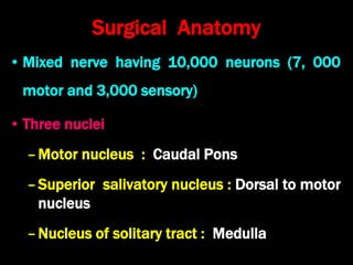 Surgical Anatomy
• Mixed nerve having 10,000 neurons (7, 000
motor and 3,000 sensory)
• Three nuclei
–Motor nucleus : Caudal Pons
–Superior salivatory nucleus : Dorsal to motor
nucleus
–Nucleus of solitary tract : Medulla
 