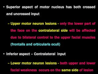 • Superior aspect of motor nucleus has both crossed
and uncrossed input
– Upper motor neuron lesions - only the lower part of
the face on the contralateral side will be affected
due to bilateral control to the upper facial muscles
(frontalis and orbicularis oculi)
• Inferior aspect – Contralateral input
– Lower motor neuron lesions - both upper and lower
facial weakness occurs on the same side of lesion
 