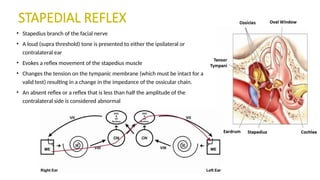 Facial Nerve Anatomy, Diseases And its Management | PPTX