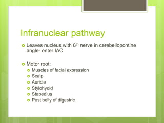 Infranuclear pathway
 Leaves nucleus with 8th nerve in cerebellopontine
angle- enter IAC
 Motor root:
 Muscles of facial expression
 Scalp
 Auricle
 Stylohyoid
 Stapedius
 Post belly of digastric
 