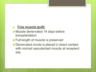 c) Free muscle graft:
 Muscle denervated 14 days before
transplantation
 Full length of muscle is preserved
 Denervated mucle is placed in direct contact
with normal vascularized muscle at recepient
site.
 