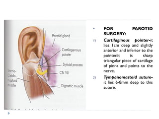  FOR PAROTID
SURGERY:
1) Cartilaginous pointer-it
lies 1cm deep and slightly
anterior and inferior to the
pointer.it is sharp
triangular piece of cartilage
of pinna and points to the
nerve.
2) Tympanomastoid suture-
it lies 6-8mm deep to this
suture.
 