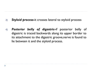 3) Styloid process-it crosses lateral to styloid process
4) Posterior belly of digastric-if posterior belly of
digastric is traced backwards along its upper border to
its attachment to the digastric groove,nerve is found to
lie between it and the styloid process.
 