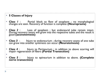  5 Classes of Injury
 Class 1 : Partial block to flow of axoplasm ; no morphological
changes are seen. Recovery of function is complete (Neuropraxia)
 Class 2 : Loss of axoplasm ; but endoneural tube remain intact.
During recovery axons will grow into the respective tubes and the result is
good (axonotemesis)
 Class 3 : Injury to endoneurium ; during recovery axons of one tube
can grow into another synkinesis can occur (Neurotemesis)
 Class 4 : Injury to Perineurium ; in addition to above scarring will
impair regeneration of fibers (Partial Transection)

 Class 5 : Injury to epineurium in addition to above. (Complete
nerve transection)
 