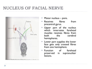 NUCLEUS OF FACIAL NERVE
 Motor nucleus – pons.
 Receives fibres from
precentral gyrus.
 Upper part of the nucleus
which innervates forehead
muscles receives fibres from
both the cerebral
hemispheres.
 Lower part supplies the lower
face gets only crossed fibres
from one hemisphere.
 Function of forehead
preserved in supranuclear
lesions.
 
