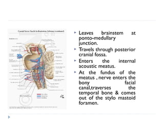  Leaves brainstem at
ponto-medullary
junction.
 Travels through posterior
cranial fossa.
 Enters the internal
acoustic meatus.
 At the fundus of the
meatus , nerve enters the
bony facial
canal,traverses the
temporal bone & comes
out of the stylo mastoid
foramen.
 