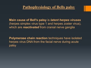 Pathophysiology of Bells palsy
Main cause of Bell's palsy is latent herpes viruses
(herpes simplex virus type 1 and herpes zoster virus),
which are reactivated from cranial nerve ganglia

Polymerase chain reaction techniques have isolated
herpes virus DNA from the facial nerve during acute
palsy

 