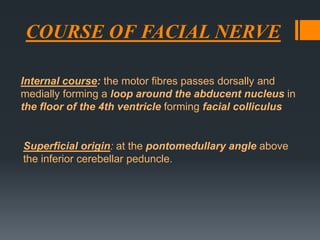COURSE OF FACIAL NERVE
Internal course: the motor fibres passes dorsally and
medially forming a loop around the abducent nucleus in
the floor of the 4th ventricle forming facial colliculus

Superficial origin: at the pontomedullary angle above
the inferior cerebellar peduncle.

 