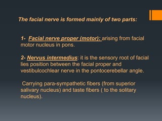 The facial nerve is formed mainly of two parts:

1- Facial nerve proper (motor): arising from facial
motor nucleus in pons.
2- Nervus intermedius: it is the sensory root of facial
lies position between the facial proper and
vestibulcochlear nerve in the pontocerebellar angle.
Carrying para-sympathetic fibers (from superior
salivary nucleus) and taste fibers ( to the solitary
nucleus).

 