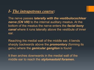 I- The intrapetrous course:
The nerve passes laterally with the vestibulocochlear
nerve (CN VIII) to the internal auditary meatus. At the
bottom of the meatus the nerve enters the facial bony
canal where it runs laterally above the vestibule of inner
ear.
Reaching the medial wall of the middle ear, it bends
sharply backwards above the promontory (forming its
genu) where the genicular ganglion is found

It then arches downwards in the medial wall of the
middle ear to reach the stylomastoid foramen.

 