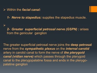  Within the facial canal:
1- Nerve to stapedius: supplies the stapedius muscle.


2- Greater superfacial petrosal nerve (GSPN) : arises
from the genicular ganglion

The greater superficial petrosal nerve joins the deep petrosal
nerve from the sympathetic plexus on the internal carotid
artery in carotid canal to form the nerve of the pterygoid
canal (vidian nerve) which passes through the pterygoid
canal to the pterygopalatine fossa and ends in the pterygopalatine ganglion

 