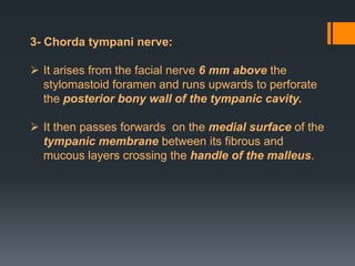 3- Chorda tympani nerve:
 It arises from the facial nerve 6 mm above the
stylomastoid foramen and runs upwards to perforate
the posterior bony wall of the tympanic cavity.
 It then passes forwards on the medial surface of the
tympanic membrane between its fibrous and
mucous layers crossing the handle of the malleus.

 