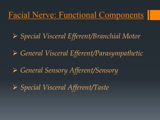 Facial Nerve: Functional Components
 Special Visceral Efferent/Branchial Motor
 General Visceral Efferent/Parasympathetic
 General Sensory Afferent/Sensory

 Special Visceral Afferent/Taste

 