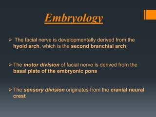 Embryology
 The facial nerve is developmentally derived from the
hyoid arch, which is the second branchial arch
 The motor division of facial nerve is derived from the
basal plate of the embryonic pons
 The sensory division originates from the cranial neural
crest

 