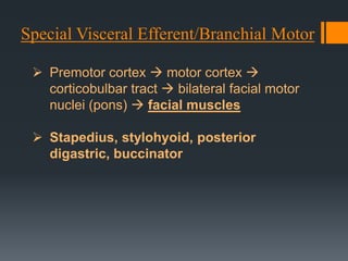 Special Visceral Efferent/Branchial Motor
 Premotor cortex  motor cortex 
corticobulbar tract  bilateral facial motor
nuclei (pons)  facial muscles
 Stapedius, stylohyoid, posterior
digastric, buccinator

 