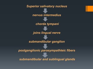 Superior salivatory nucleus
nervus intermedius

chorda tympani
joins lingual nerve
submandibular ganglion
postganglionic parasympathteic fibers
submandibular and sublingual glands

 