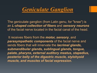 Geniculate Ganglion
The geniculate ganglion (from Latin genu, for "knee") is
an L-shaped collection of fibers and sensory neurons
of the facial nerve located in the facial canal of the head.

It receives fibers from the motor, sensory, and
parasympathetic components of the facial nerve and
sends fibers that will innervate the lacrimal glands,
submandibular glands, sublingual glands, tongue,
palate, pharynx, external auditory meatus, stapedius,
posterior belly of the digastric muscle, stylohyoid
muscle, and muscles of facial expression.

 