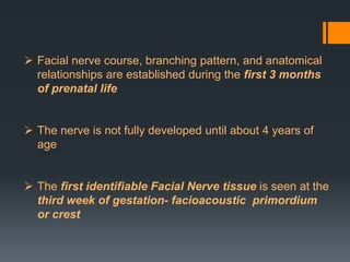  Facial nerve course, branching pattern, and anatomical
relationships are established during the first 3 months
of prenatal life
 The nerve is not fully developed until about 4 years of
age
 The first identifiable Facial Nerve tissue is seen at the
third week of gestation- facioacoustic primordium
or crest

 