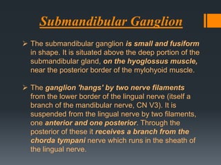 Submandibular Ganglion
 The submandibular ganglion is small and fusiform
in shape. It is situated above the deep portion of the
submandibular gland, on the hyoglossus muscle,
near the posterior border of the mylohyoid muscle.
 The ganglion 'hangs' by two nerve filaments
from the lower border of the lingual nerve (itself a
branch of the mandibular nerve, CN V3). It is
suspended from the lingual nerve by two filaments,
one anterior and one posterior. Through the
posterior of these it receives a branch from the
chorda tympani nerve which runs in the sheath of
the lingual nerve.

 
